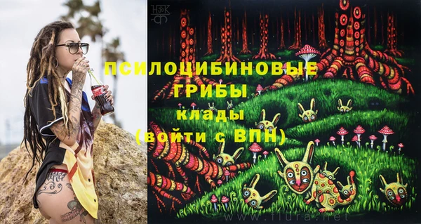бошки Аркадак