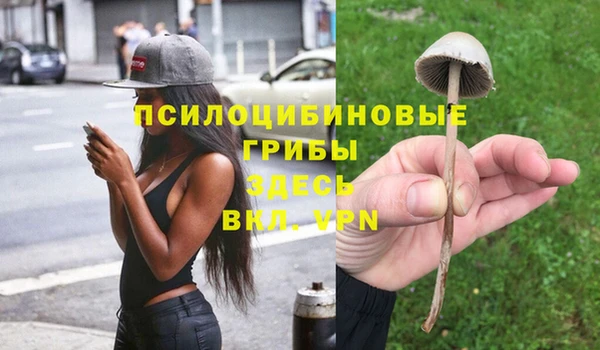 бошки Аркадак