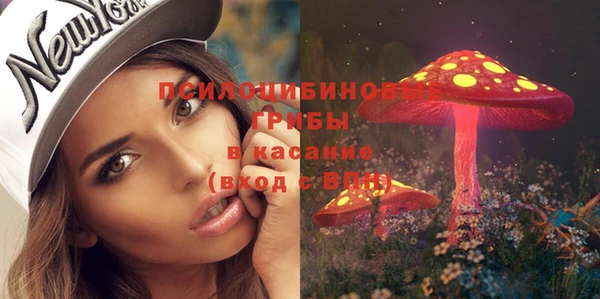 бошки Аркадак
