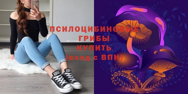 бошки Аркадак