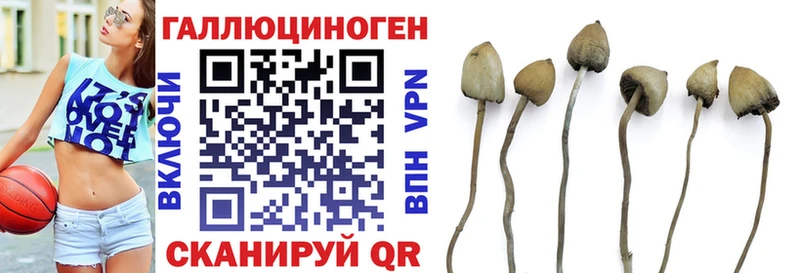 Псилоцибиновые грибы прущие грибы  Лукоянов 